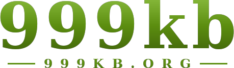 999kb logo